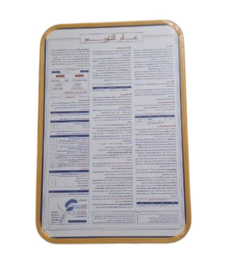 65x40cm Ardoise pour l'apprentissage du Coran et de l'arabe – Surface effaçable, design pratique, facile à nettoyer. Idéale pour enfants et débutants.